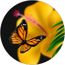 Narayan Kunwar profile picture
