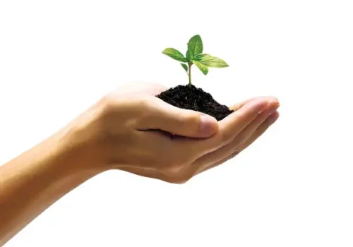 Protection of Lives and Assets Protection of Lives and Assets