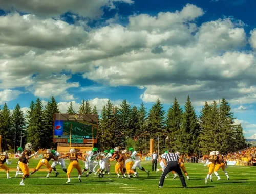 Schools, colleges, and coaching institutes